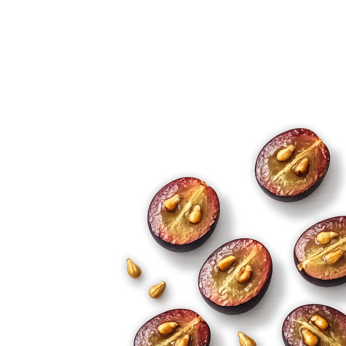 OPC