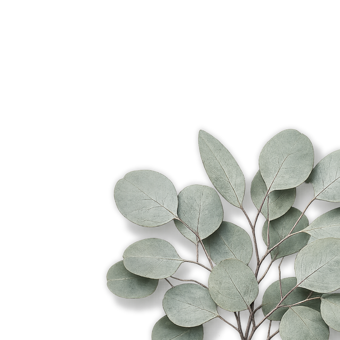 Eukalyptus